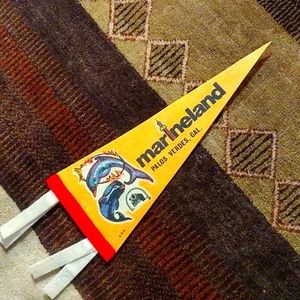 Vintage Souvenir Pennant